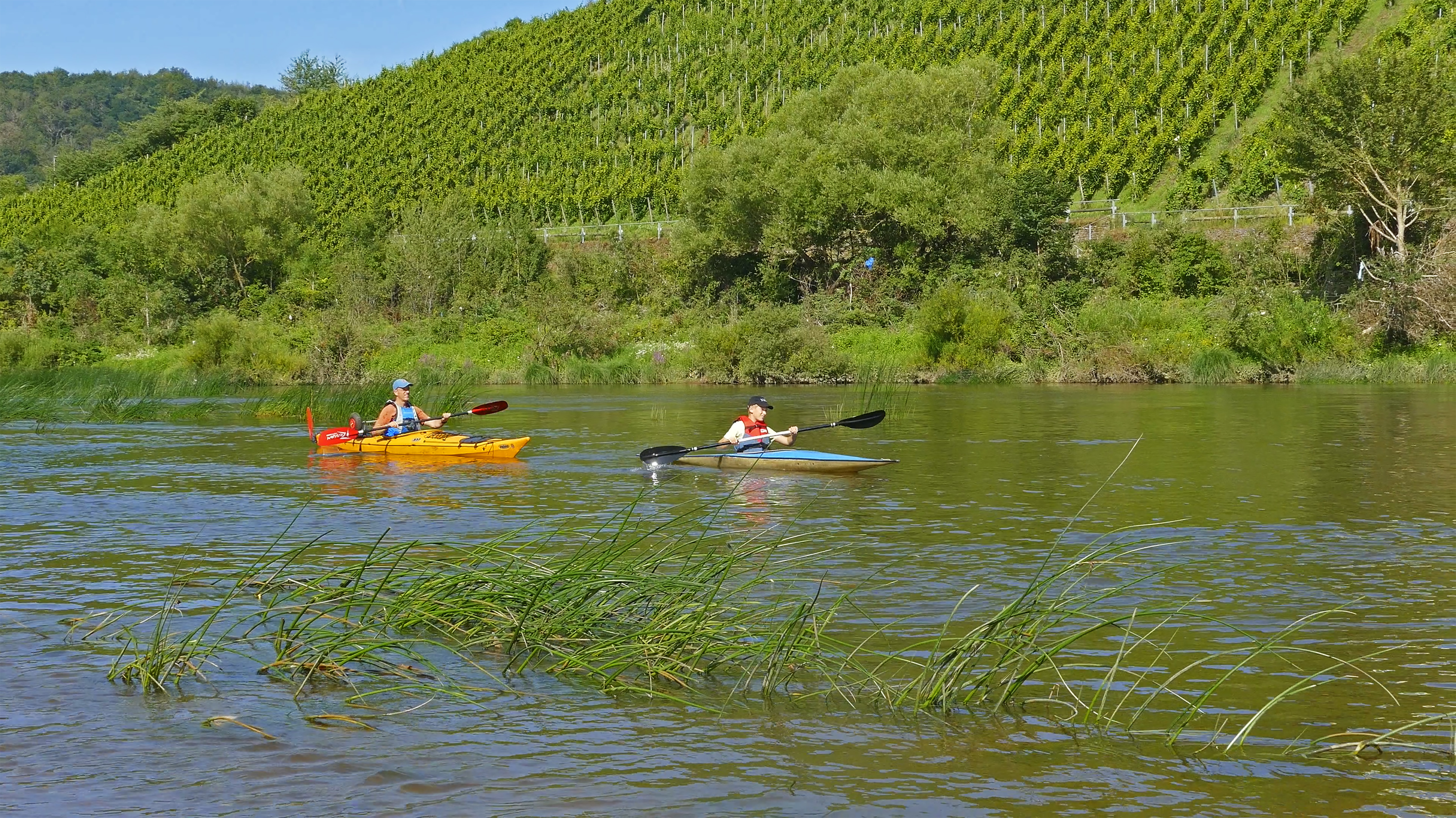 Kanufahren im Wiltinger Saarbogen