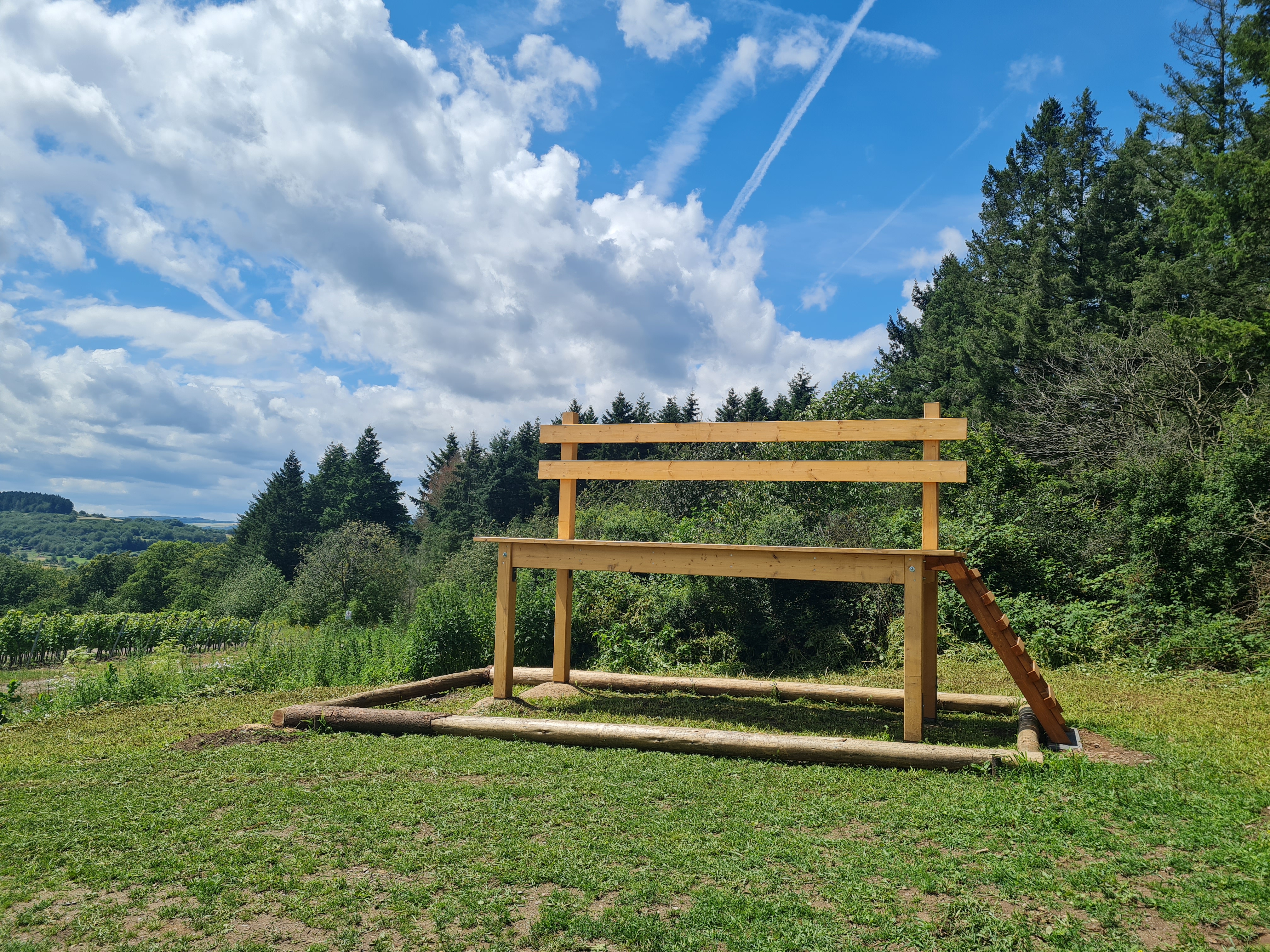 Moselsteig-Seitensprung Konzer Höhenrunde