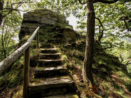 Veldenz, Graf Georg Johannes Weg ©Ursula Peters Treppe auf dem Graf Georg Johannes Weg in Veldenz.