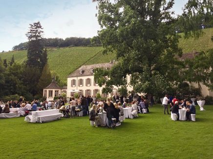 Kanzem, SaarRiesling Sommer im Weingut von Othegraven © Mosellandtouristik GmbH Ansicht auf das Weingut von Othegraven während SaarRiesling.