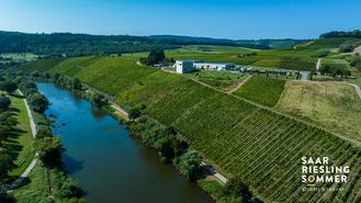 Saar-Riesling-Sommer_Weingut Van Volxem