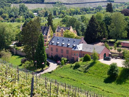 Mertesdorf, Weingut Maximin Grünhaus © Terroir Moselle / Christopher Arnoldi Ansicht auf das Anwesen Weingut Maximin Grünhaus.