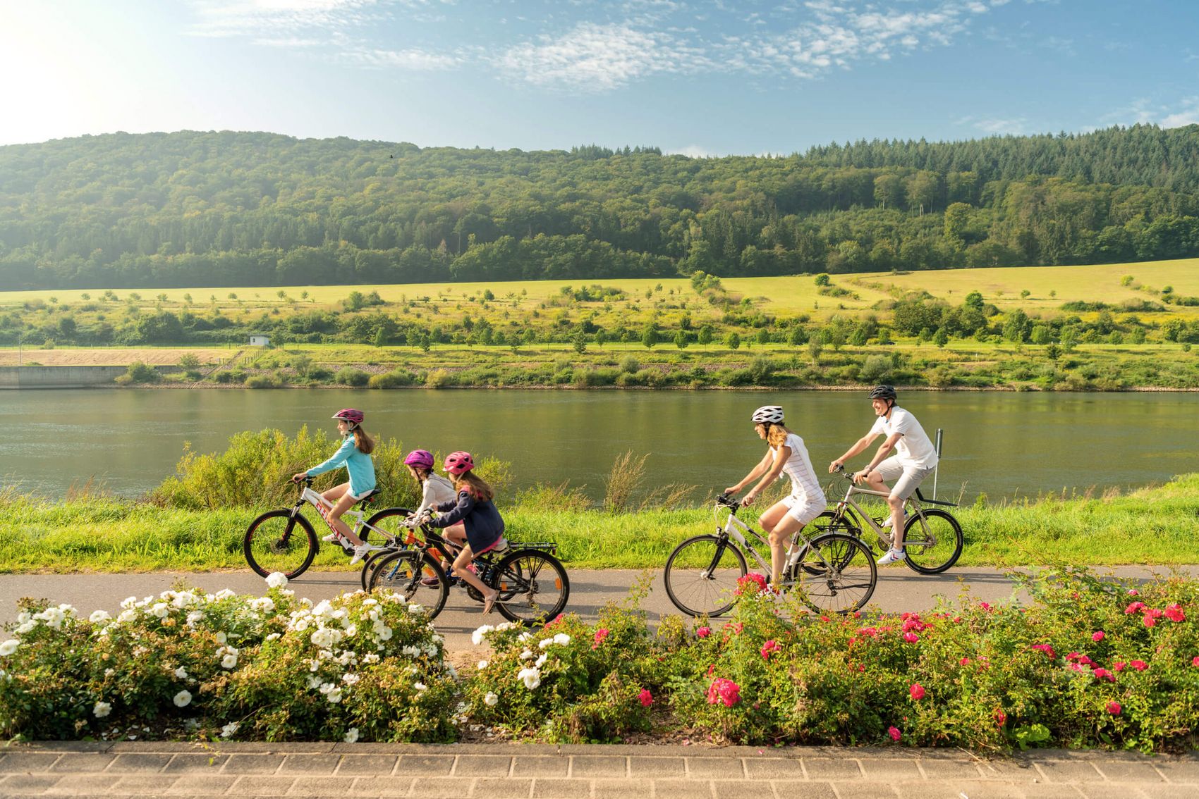 Zeltingen-Rachtig, Familien-Radtour auf dem Mosel-Radweg © Mosellandtouristik GmbH / Dominik Ketz Familie radelt am Fluss entlang