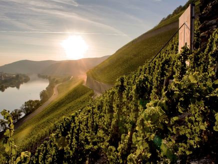 Brauneberg, Sonnenuhr © Christopher Arnoldi Ansicht auf die Sonnenuhr Brauneberg in den Weinbergen und auf die Mosel.