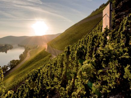 Brauneberg, Sonnenuhr © Christopher Arnoldi Ansicht auf die Sonnenuhr Brauneberg in den Weinbergen und auf die Mosel.