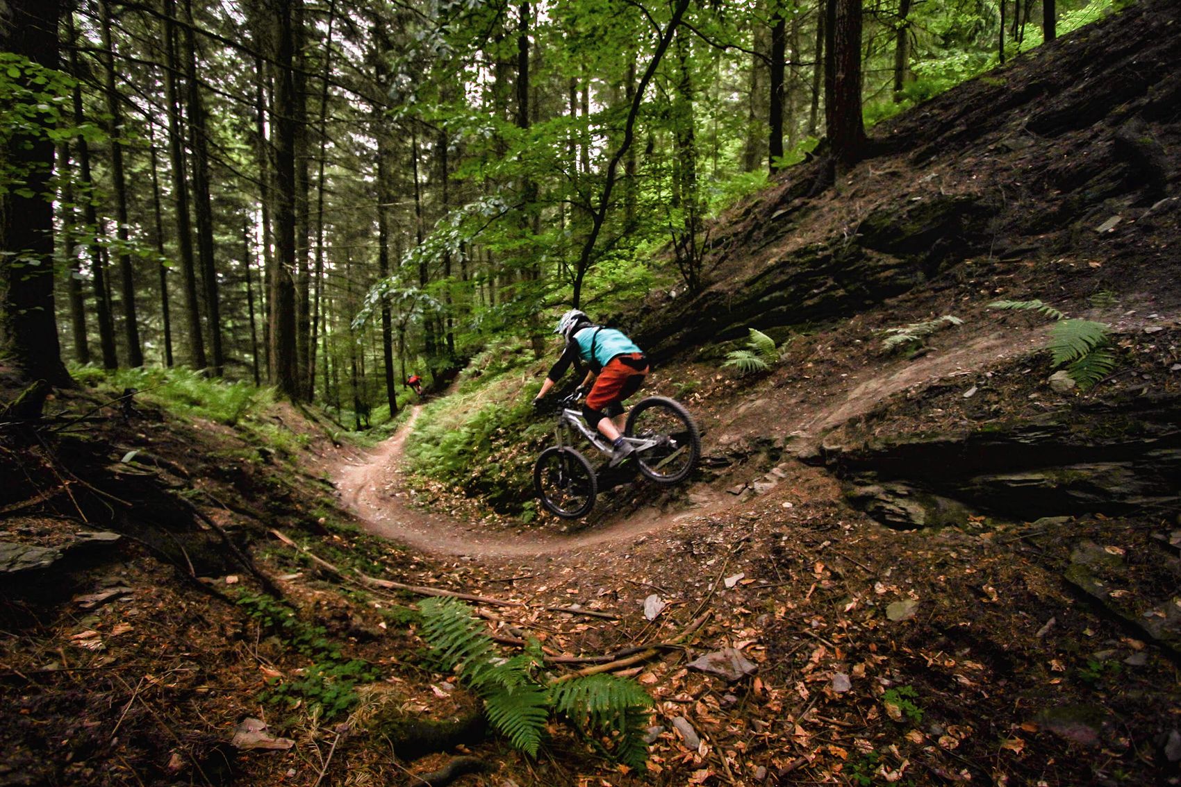 Mehring, Mountainbike-Trailpark © Elmar Graf Ansicht auf einen Mountainbiker auf dem MTB Trailpark bei Mehring.