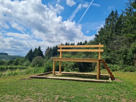 Moselsteig-Seitensprung Konzer Höhenrunde