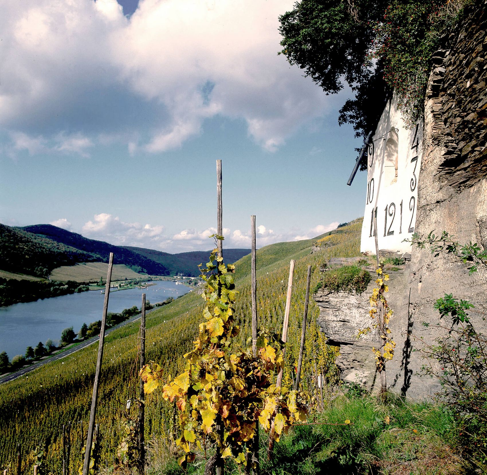 Wehlen, Sonnenuhr © Christopher Arnoldi Ansicht auf die Sonnenuhr Wehlen in den Weinbergen und auf die Mosel.