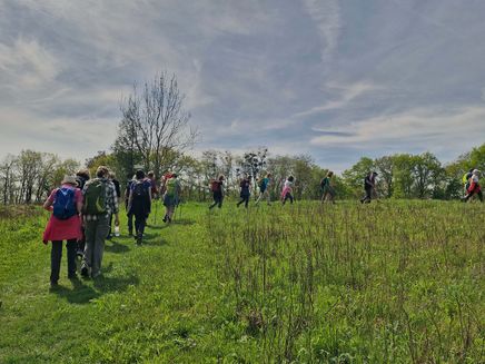 Wanderung der Moselsteig Jubiläumstour Saar-Obermosel © Saar-Obermosel-Touristik Wandergruppe auf einem Wiesenweg