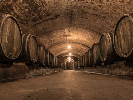 Gewölbekeller im Weingut Dr. Wagner, Saarburg © RPT GmbH / D. Ketz
