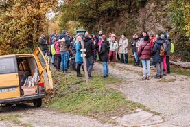 Moselsteig-Wünschelroute