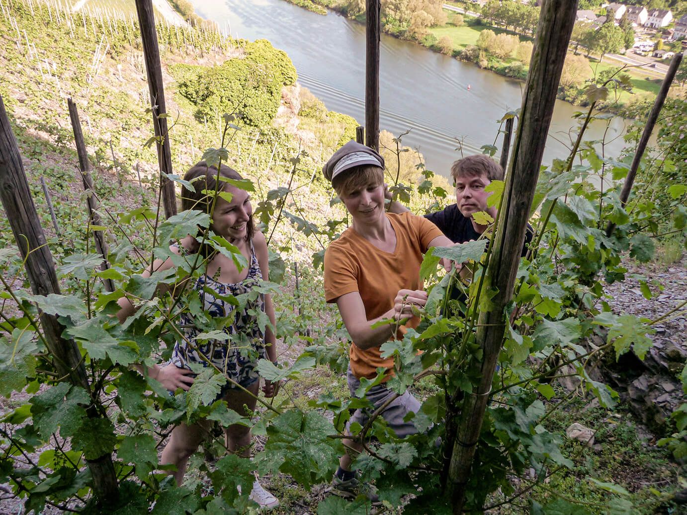 Erden, Weinerlebnistour © Carmen Sadowski Ansicht auf eine Kultur- und Weinbotschafterin während einer Erlebnistour durch die Weinberge bei Erden.