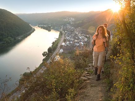 Löf, Wanderer auf dem Moselsteig © Maria Gietzen Wanderer auf dem Moselsteig in der Nähe von Löf.