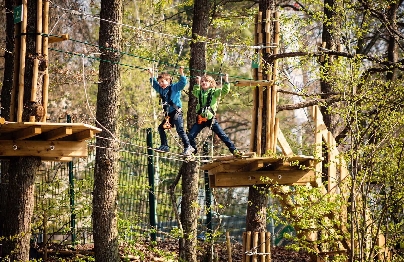 Leiwen, Waldkletterpark © Verein Römische Weinstraße e.V. - Tourist-Information Ansicht auf Kinder beim Klettern im Waldkletterpark Leiwen.