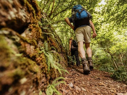 Bruttig, Kabeinerbachtal, © RPT Ketz Mann wandert den Moselsteig durch das Kabeinerbachtal in der Nähe von Bruttig entlang.
