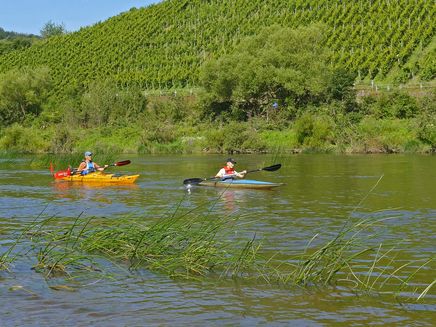 Kanufahren im Wiltinger Saarbogen