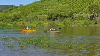 Kanufahren im Wiltinger Saarbogen