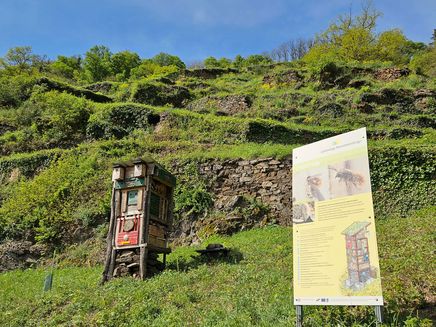 Lebensturm auf der Moselsteig Jubiläumstour Hatzenport © Winzerhof Gietzen Lebensturm mit Informationstafel im Weinberg