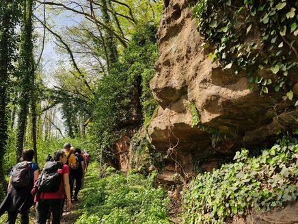 Entlang schmaler Pfade auf der Moselsteig Jubiläumstour Saar-Obermosel © Saar-Obermosel-Touristik Wandergruppe entlang einer Gesteinswand
